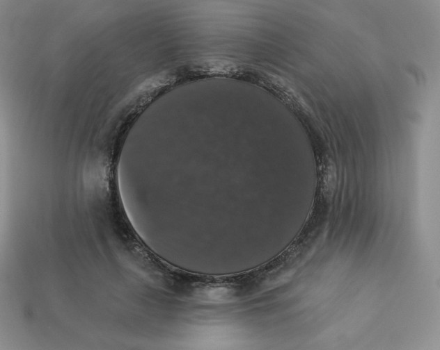 X0000113280643200910131006
