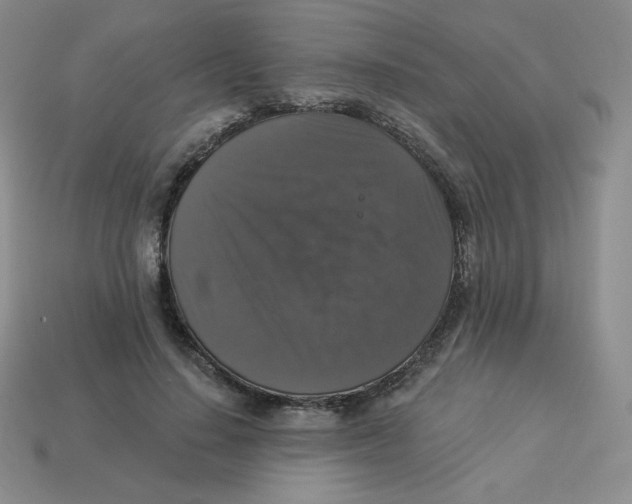 X0000113280644200910131006