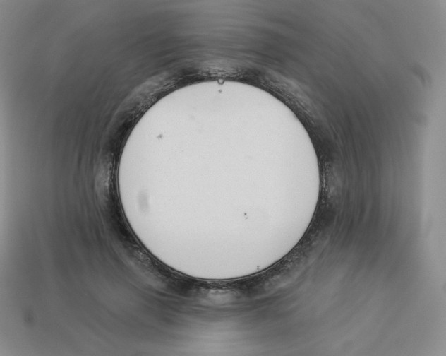 X0000113280645200910131006
