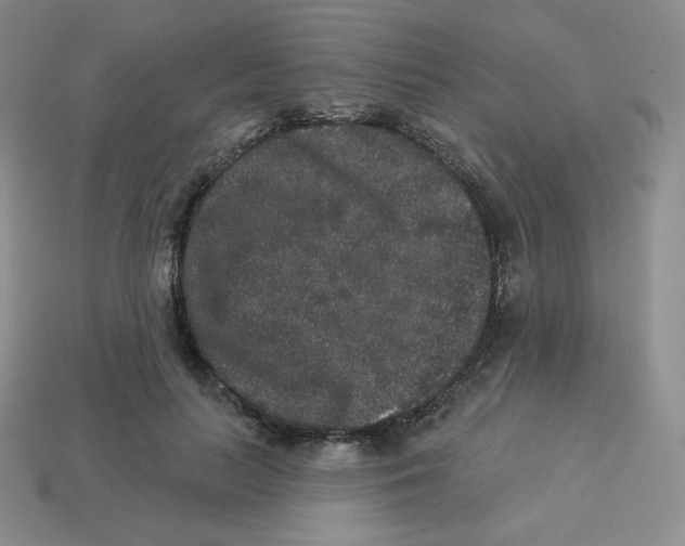 X0000113280647200910131006
