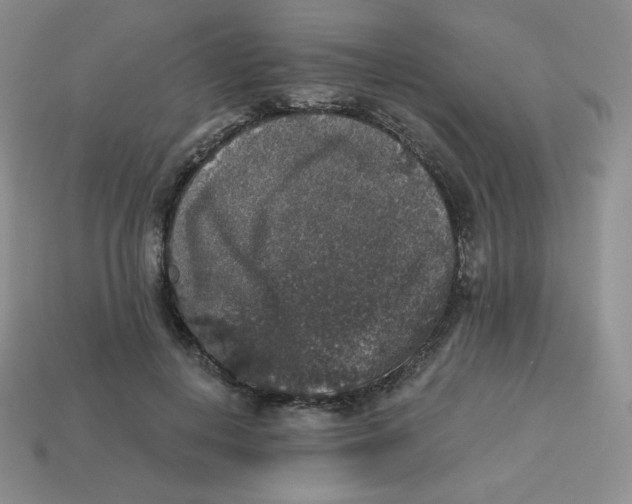 X0000113280648200910131006