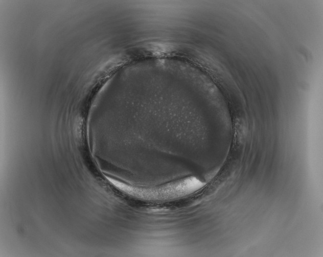 X0000113280650200910131006