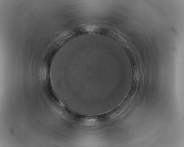 X0000113280651200910131006
