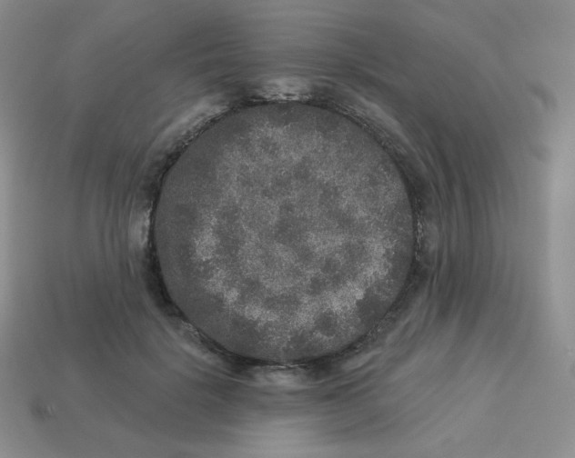 X0000113280652200910131006