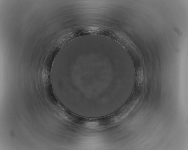 X0000113280653200910131006