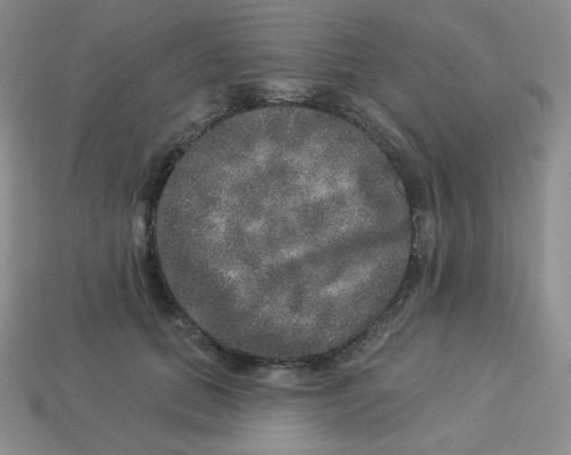 X0000113280655200910131006