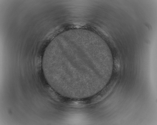 X0000113280657200910131006