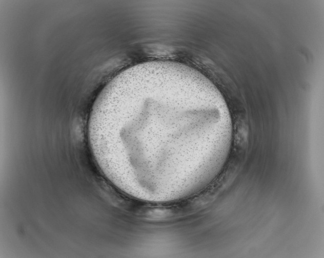 X0000113280658200910131006