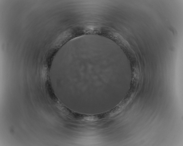 X0000113280659200910131006