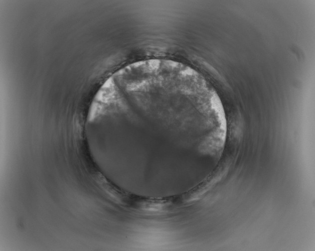 X0000113280661200910131006