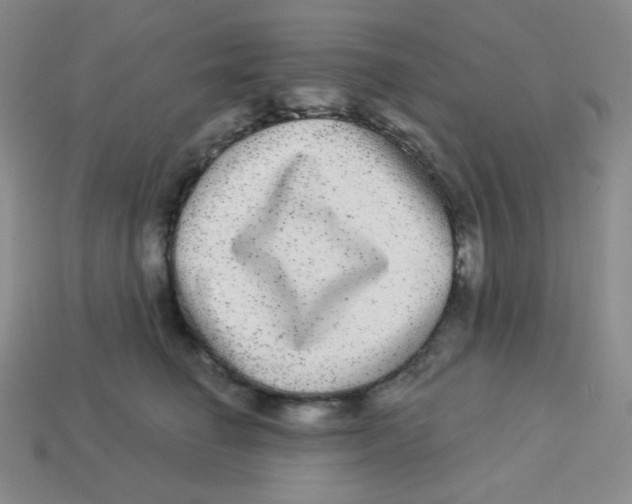 X0000113280662200910131006