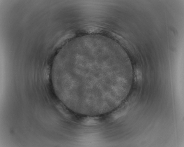 X0000113280664200910131006