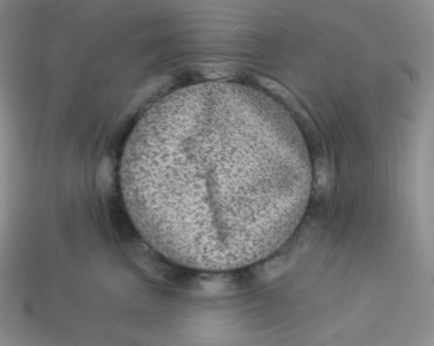 X0000113280667200910131006