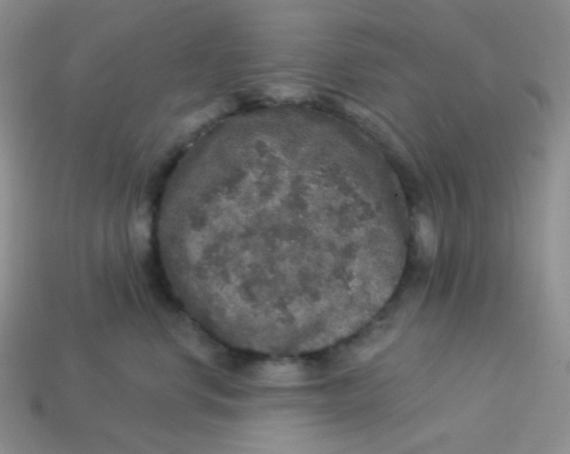 X0000113280668200910131006