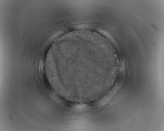 X0000113280669200910131006
