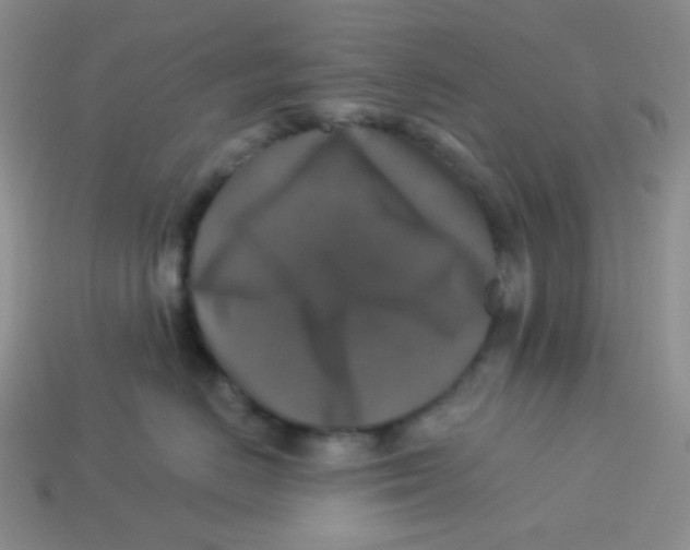 X0000113280670200910131006