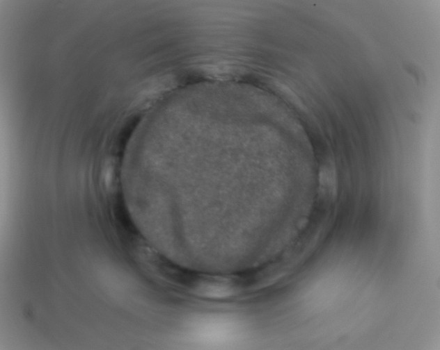X0000113280671200910131006