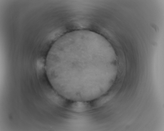 X0000113280672200910131006
