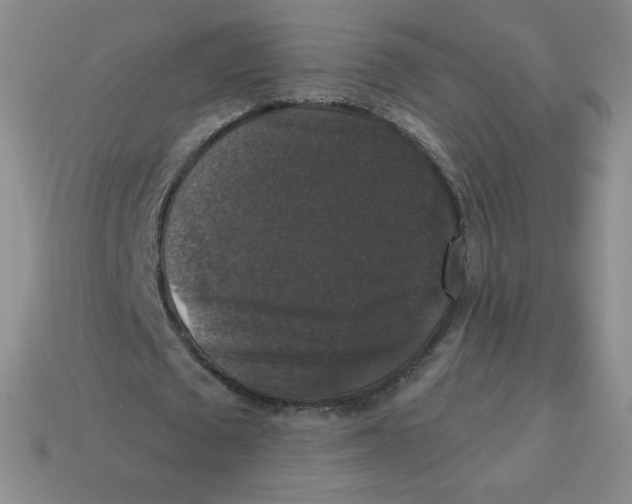 X0000113280673200910131005