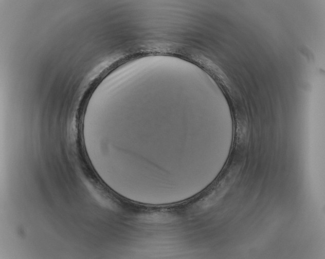 X0000113280674200910131005