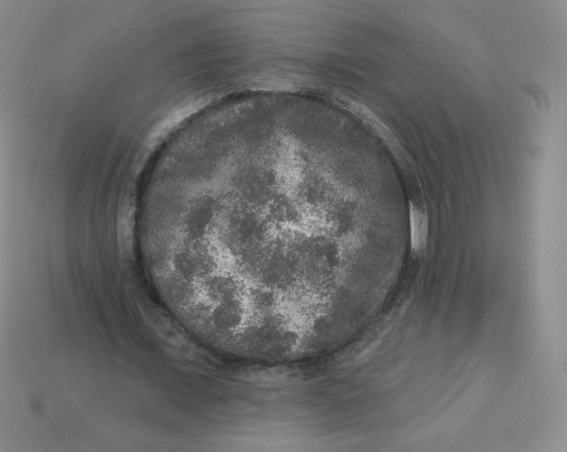 X0000113280675200910131005