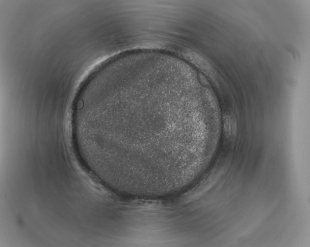 X0000113280676200910131005