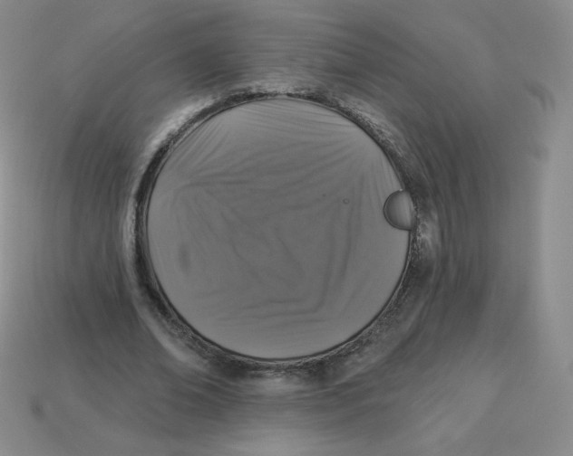 X0000113280678200910131005