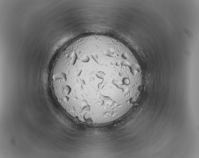 X0000113280679200910131005
