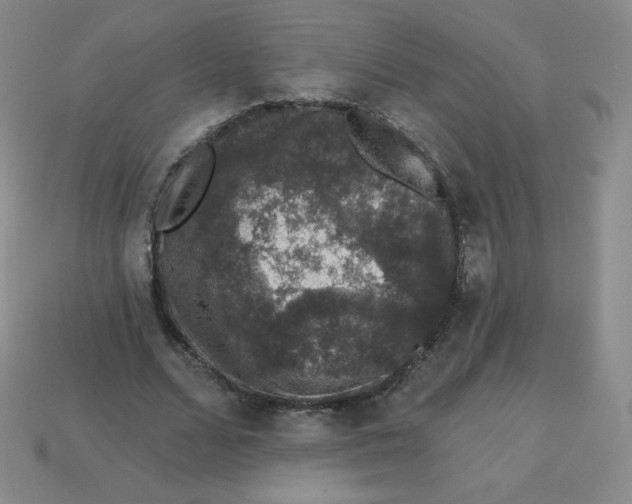 X0000113280680200910131005