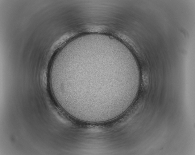 X0000113280682200910131005