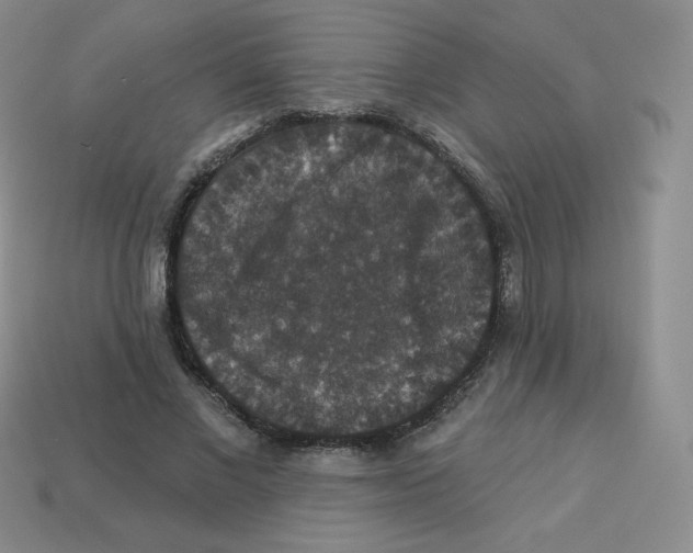 X0000113280685200910131005