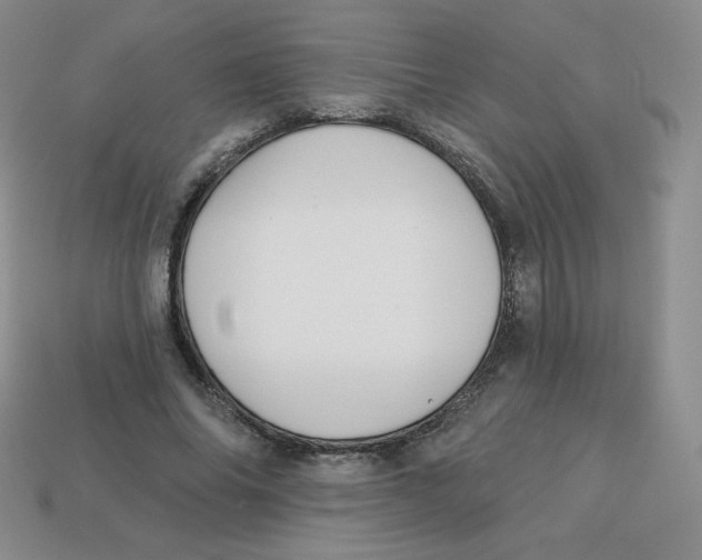 X0000113280686200910131005