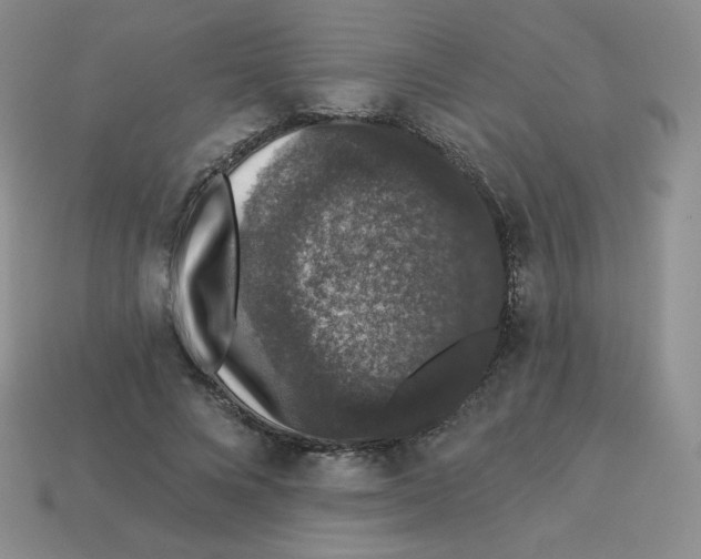X0000113280688200910131005