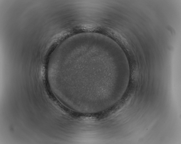 X0000113280689200910131005