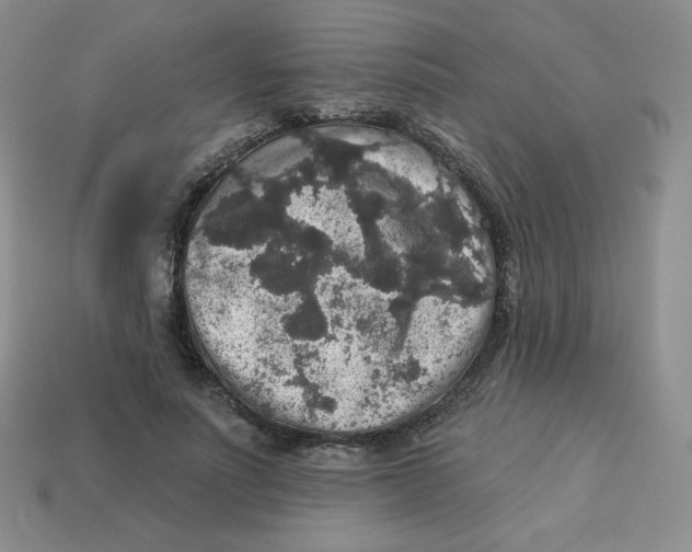 X0000113280691200910131005