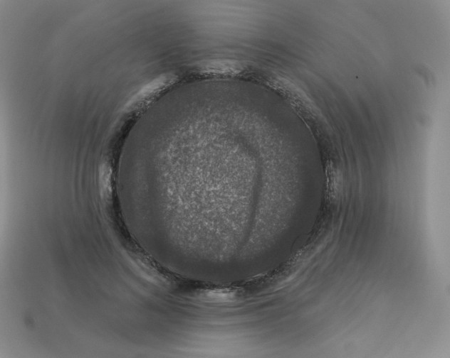 X0000113280692200910131005
