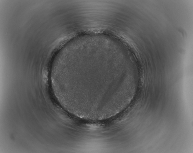 X0000113280693200910131005