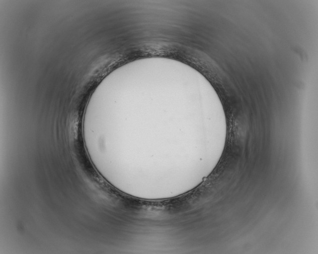 X0000113280694200910131005
