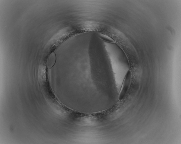 X0000113280696200910131005