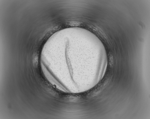 X0000113280697200910131005
