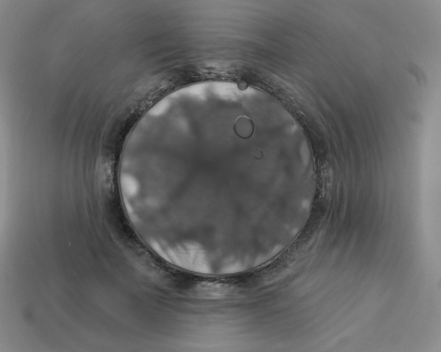 X0000113280699200910131005