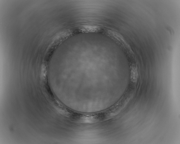 X0000113280701200910131005