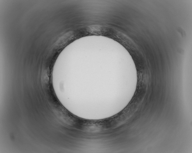 X0000113280702200910131005
