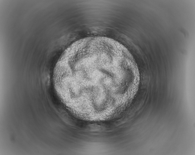 X0000113280703200910131005