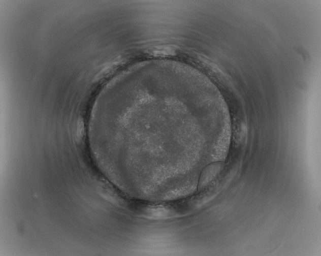 X0000113280704200910131005