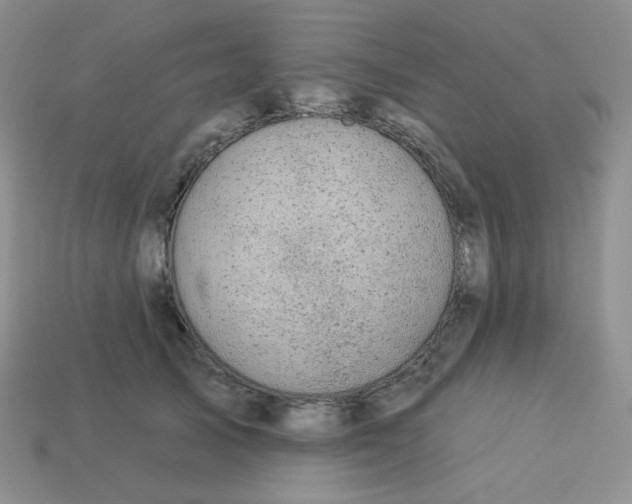 X0000113280705200910131005