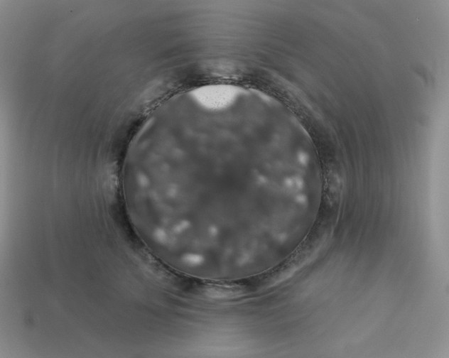 X0000113280707200910131005