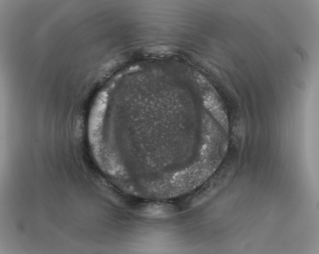 X0000113280708200910131005