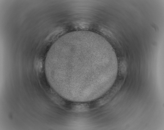 X0000113280709200910131005