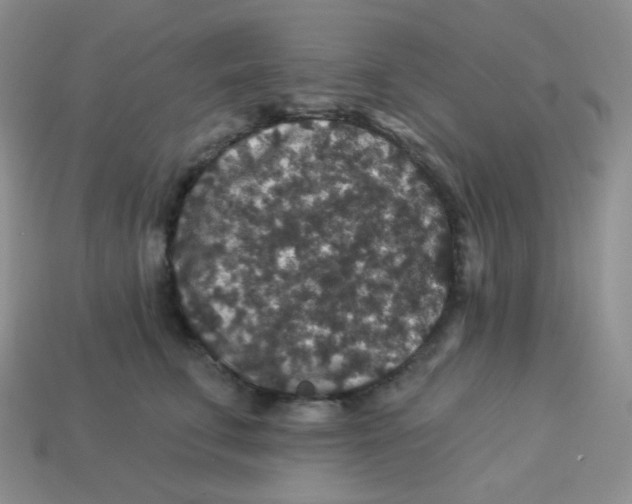 X0000113280711200910131005